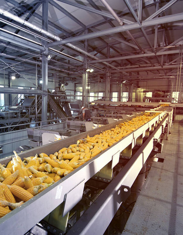 家畜飼料行業(yè)